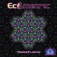 ecometric