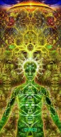 pineal-vision-03